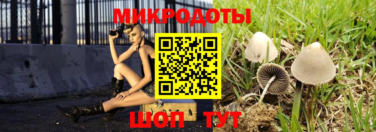 Галлюциногенные грибы Psilocybe  Вход с VPN  Шарыпово 